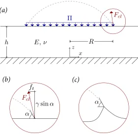 Figure 3.3 Schematic of geometry and forces. (a) Reference conﬁguration showing horizontal substratewith elastic moduluslayer and droplet surface (dashed)