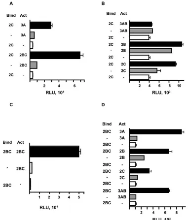 FIG. 5. Mammalian cell two-hybrid analysis of interactions of PV fusion proteins. COS cells were cotransfected with pBind-2C (A and B) orpBind-2BC (C and D), and different pAct plasmids that drive expression of 2B, 2C, 2BC, 3A, and 3AB fusion proteins and the reporter vector