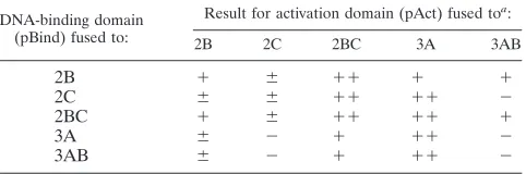 TABLE 2. Linkage map of protein-protein interactions