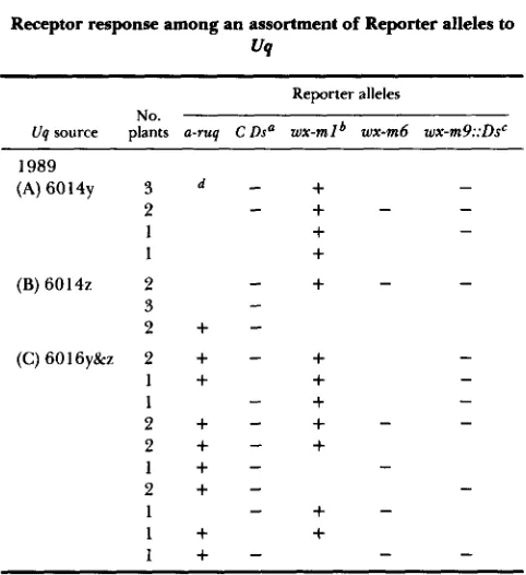 TABLE I ruq67 spotted  phenotype) and waxy mutability (wx-m1 or wx-m9::Ds sectored  phenotype) can be  determined 