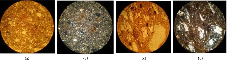 Figure 4. Thin section micrograph of Pod Nr. 813 (a), (b), Blaz Nr. 44 (c), (d). Images taken in plane polarized light and in cross-polarized light (PPL, XPL, ×10)