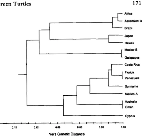 FIGURE 4.-UPGMA eries. The cophenetic correlation dendrogram for the 15 green  turtle rook- is 0.58