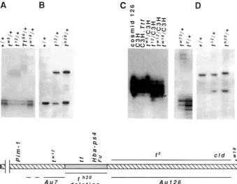FIGURE 3.-Map Stippled region identifies the deletion in wild-type region respectively, are deleted from position of Au7 and Au126