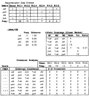 FIGURE 2.-The (The default values of parameters were used  in the calculation.) This table shows eight orderings and the  number of crossovers for each and presents all closer marker trio results (shown  in the  center of the  figure), and (shown in lower 