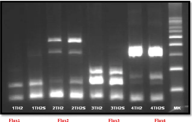 Fig. 2. Reverse transcription polymerase chain reactions (RT-PCRs) were performed on both  obtained from BLAST analysis