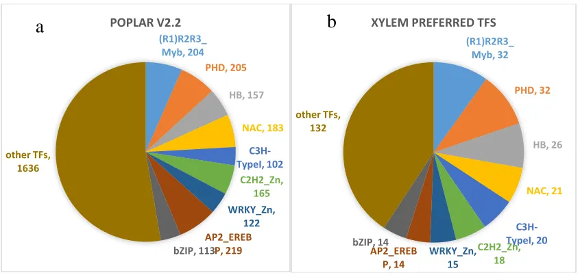 Figure 2.3 The top 10 families of transcription factors in the poplar genome (a) comparisons to xylem specific transcription factors (b)