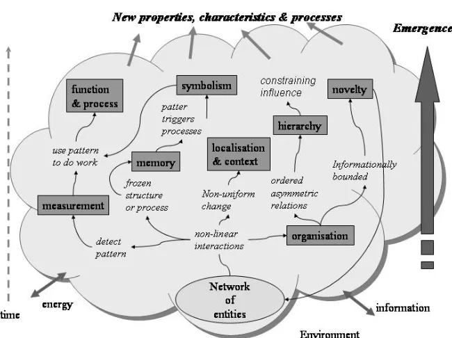 Figure 1: New conceptual model/framework of emergence. 
