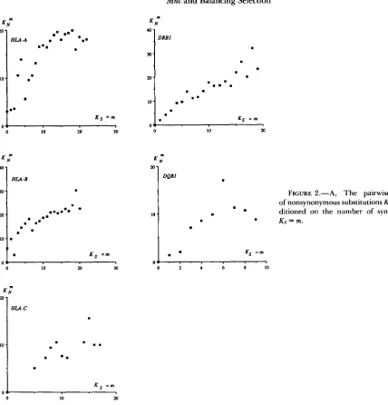 FIGURE 2.-A, nonsynonymous substitutions 