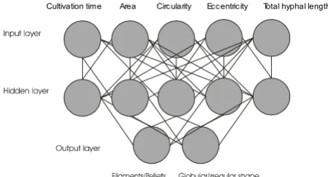 Figure 1Structure of the artificial neural network (ANN)Structure of the artificial neural network (ANN)