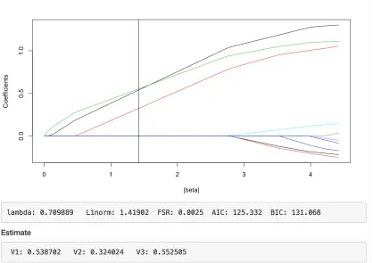 Figure 3.1:Interactive plot of solution path; It shows model information including FSR, AIC,BIC, and coeﬃcient estimates.