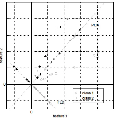 Figure 5.2: Graph showing Fisher's Linear Discriminant (FLD) compared to Principal Component Analysis (PCA) for a 2 class problem where data for each class lies near a linear subspace 