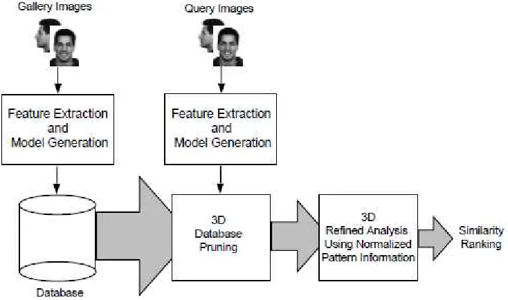Figure 5.4: Implementation of frontal and profile view into a 3D system. (Cited in Gordon 1995) 