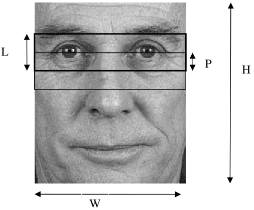 Figure 5.7: Image showing the height (H), width (W), block height (L) and overlap (P) used in HMM 