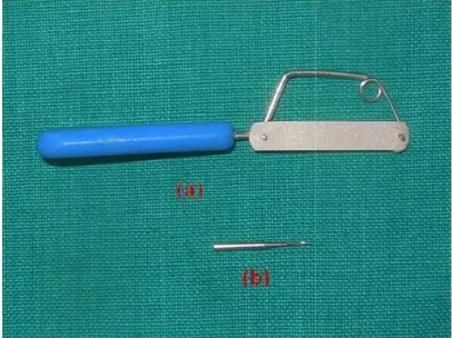 Fig. 1. Two premolar mounted in acrylic base  Two premolar mounted in acrylic base 