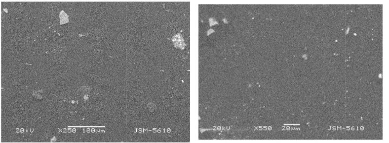 Fig. 8. Group IV: SEM micrograph showing Group IV: SEM micrograph showing smooth layer formed over the roughened stripped 