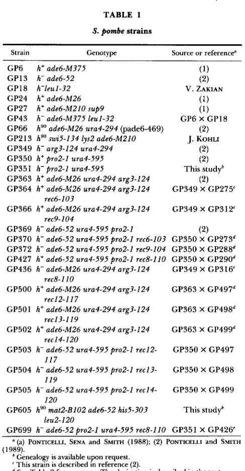 TABLE 1 duced into S. pombe strains using the LiOAc method of ITO et al. (1983). Plasmid pade6-469 contains the ade6-469 allele 