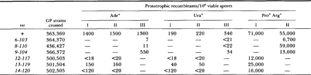 TABLE 4 Comparison of M26 and M 3 7 5  recombinant  frequencies in rec mutant strains 
