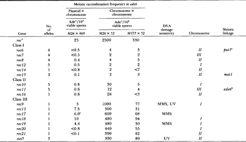 TABLE 7 Summary of rec mutant  characterization 