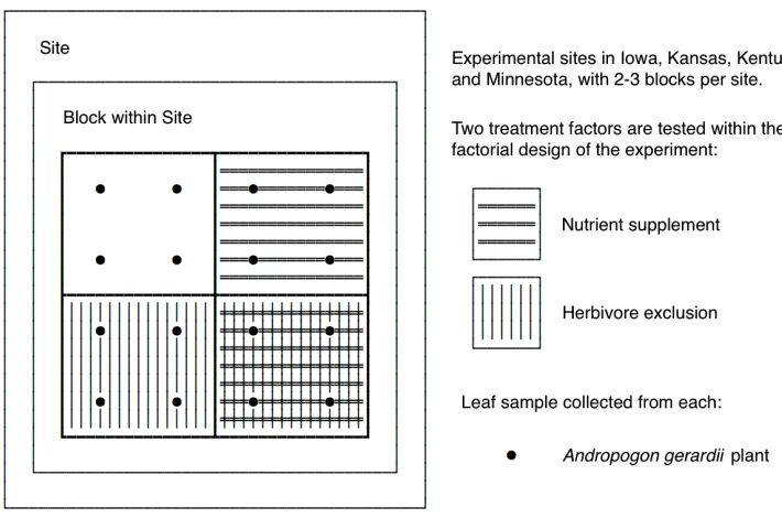 Figure 3.1:A schematic representation of the Nutrient Network experimental design. Thisexperiment replicates a 2x2 RCB design across several sites