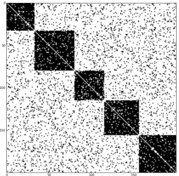 Figure 2.1: Adjacency matrix of the simulated network