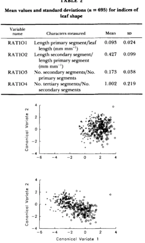 TABLE 2 Mean  values  and  standard deviations (n = 695) for indices of leaf  shape 
