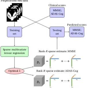 Figure 2.1 A schematic overview of the proposed sparse multi-response tensor regression withmultivariate cognitive assessments.
