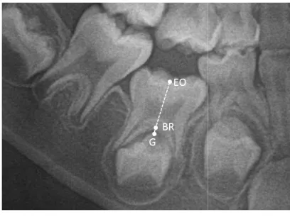 Table 1. Comparison of PV of the affected/ healthy side on the same jawComparison of PV of the affected/ healthy side on the same jaw 