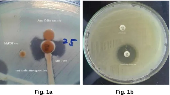 Fig. 1a  