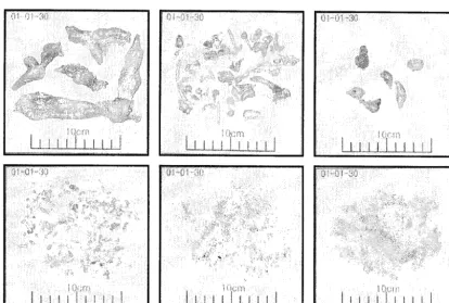 Fig. 7 Debris Configurations (a. Crust 5~10cm, b. Crust 1-~2cm, c. Particle l~2cm, d: Particle-dominated 2--Smm, e