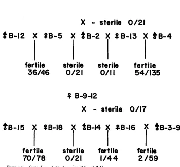 TABLE 4 