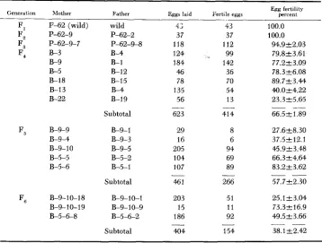 TABLE 5 Reduction in egg fertility in continuous sib matings from female P A 2  
