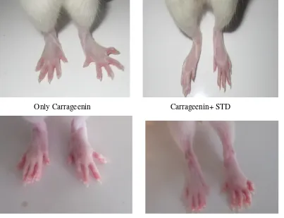 FIG- EFFECT OF MILAGU LEGIYAM WITH HONEY/GHEE ON Carrageenin -INDUCED PAW EDEMA IN RATS 