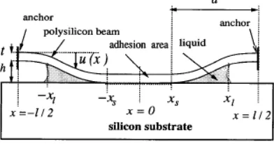 Figure 2.9: Cross section of a doubly clamped beam adhering to its substrate [66].