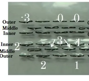 Fig. 2. Example of the score 