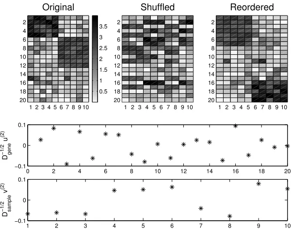 Fig. 5.1tral method. Lower pictures show components of the scaled second singular vectors1sample2 D(2) of−gene− 1sample 21D−v