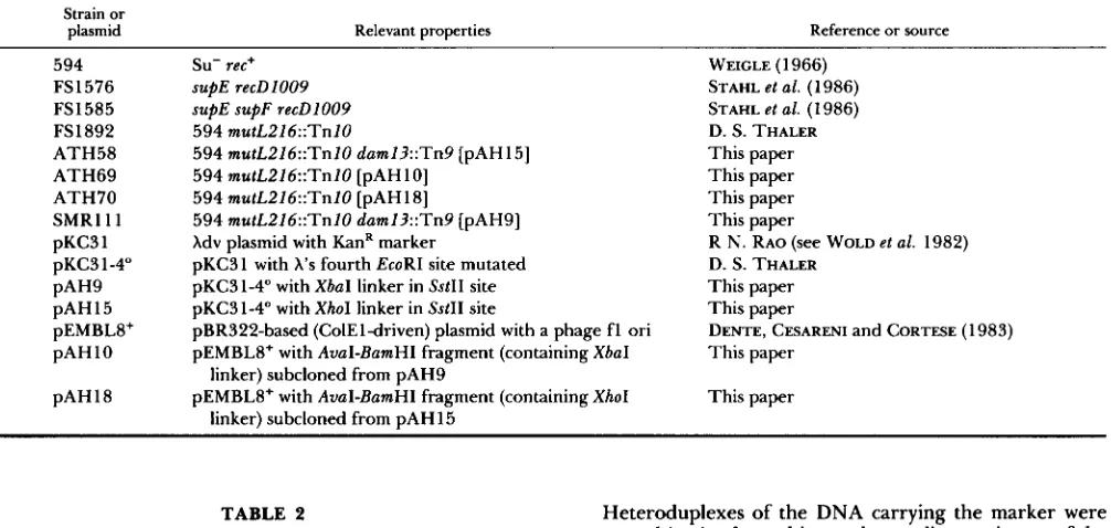 TABLE 2 Heteroduplexes of the DNA carrying the marker were prepared in  vitro by melting and annealing a mixture of the Phage strains two  AluI-digested parental types by the protocol of LECHNER 