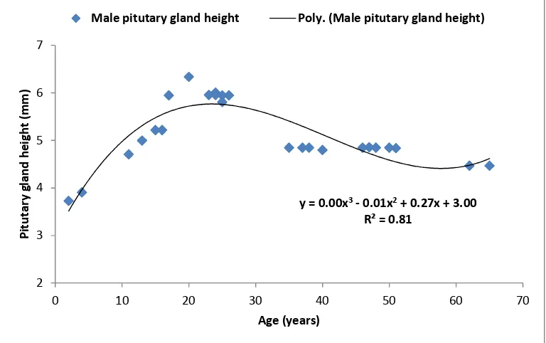 Fig. 2. Correlation of pituitary height (mm) and age (years) in male participants 