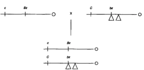 FIGURE 2,“Genetic arm of chromosome one transposon at The frequency nant marker estimate of cross used to monitor the loss of the  domi- C (colored  aleurone) located distal to bz in the short 9
