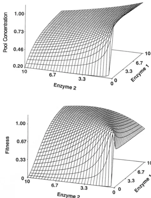 FIGURE 5.-Equilibrium distribution of allelic effects in the case Table of selection on metabolic flux (parameters are those of line 15 sents the solution iterating the recursion 15)