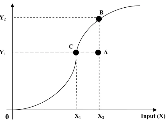 Figure 1: Production frontier and technical efficiency 