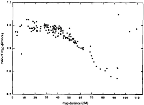 FIGURE map distance. The  three points in the of the graph came from two-point data with negative interference and had uncertainties of upper right hand corner 0.4,0.6 (typical uncertainties nonparental ditype tetrads and more than one  hundred for the  re