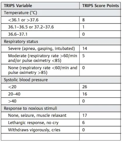 Fig. 1. TRIPS scale (Lucas da Silva et al. [14])   