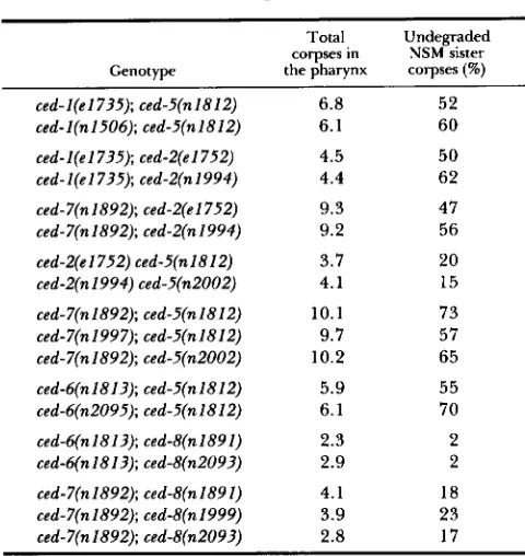 TABLE 5 