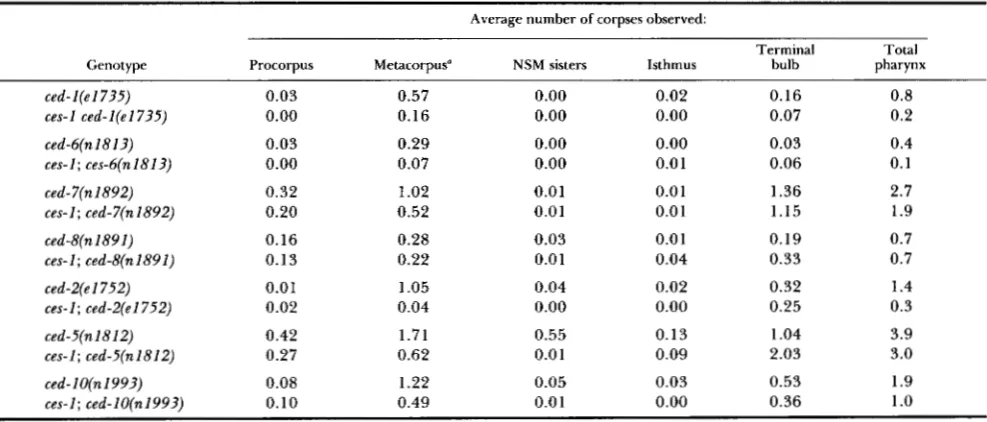 TABLE 6 