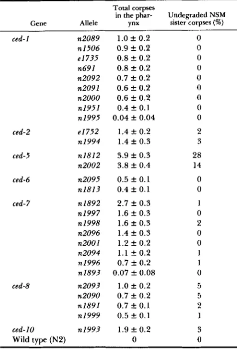 TABLE 3 