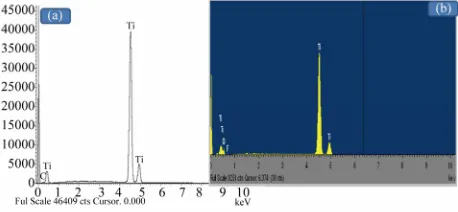 Figure 1. Scanning electron microscope (SEM) micrographs of the Ti specimens before and after electrochemical anodi-zation treatment: (a) uncoated Ti specimen; (b) anodized coated Ti specimen