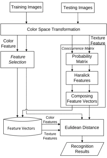Figure 1. The proposed leukocyte recognition system. 