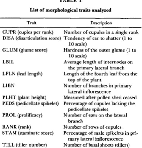 TABLE primar; lateral brancho(LBI6  Table 1). The inflorescences to comDute the averaw length of the internodes on the morphological traits 1 analyzed that  terminate  the primary lateral branches (primary lateral 