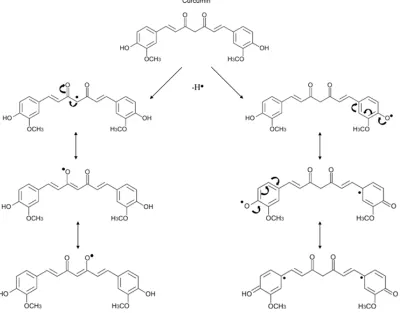 Fig. 1. Sites for proton donation for the curcumin molecule 