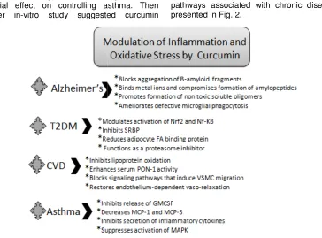 Fig. 2. Modulation of inflammatory pathways and oxidative stress by Curcumin, which result in Fig